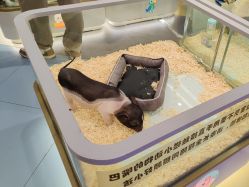 -meland亲子乐园•派对•研学(苏州悠方购物中心店)