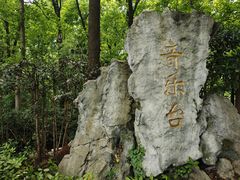 -音乐台