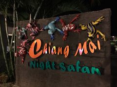 Chiang&nbsp;Mai&nbsp;Night&nbsp;Safari-清迈夜间动物园