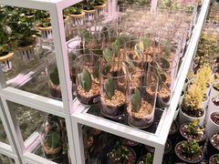 -KKV(深圳宏发大仟里店)