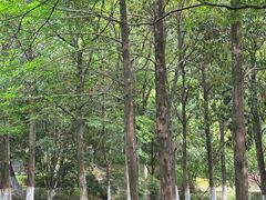 -峙山公园