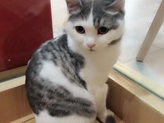 -有何Book(六堰体育馆店)