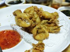 -金砂阿洲鱼册店