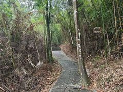 -增城大丰门漂流