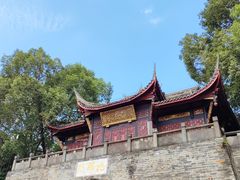 -桂湖森林公园