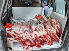 -杭嘉湖咬强羊肉面馆(永兴路总店)