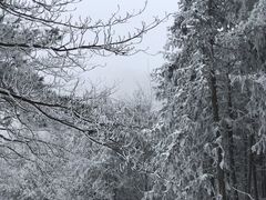 -天姥山