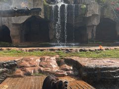 -海南热带野生动植物园