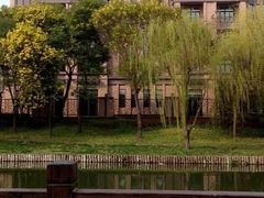 -新江湾城公园