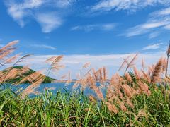-长沙黑麋峰国家森林公园