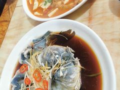 -煲来饱去冷水鱼