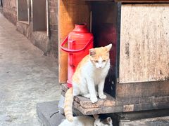 -二娃邓板凳面(解放碑店)