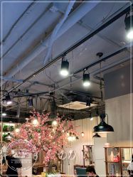 -逸丝风尚yesfashion造型