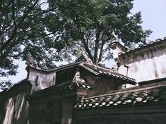 -洪湖生态旅游区