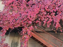 -辽宁大学(崇山校区)