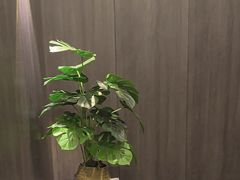 -鹿栖(佛山季华园店)