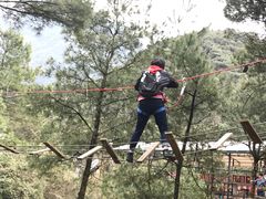 -梦幻奥陶纪景区