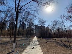 -东坝千亩湖公园