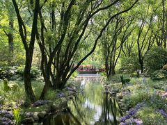 -上海共青森林公园