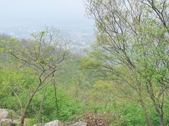 -紫金山山顶公园