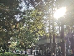 -西苑公园