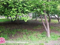 -哈尔滨师范大学(江南校区)