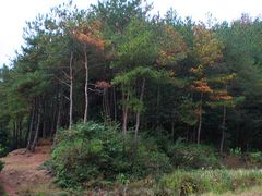 -天台山赤城山景区