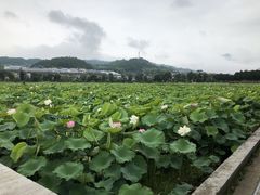 -古田会议纪念馆