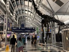 -奥黑尔国际机场