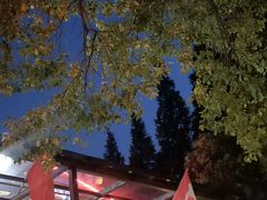 -Big Bamboo 大竹子体育主题餐厅(虹梅路店)