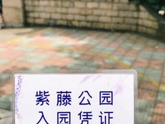 -嘉定紫藤园