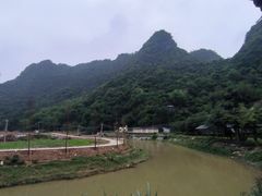 -银峰农庄·特色烧鸡·鲜无花果浸鸡