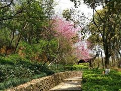 -杭州半山国家森林公园