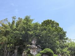-朴园