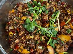 -食神又名厕所兔