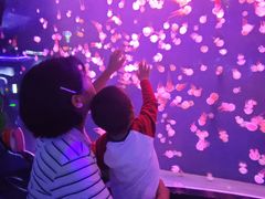-石家庄极地海洋世界