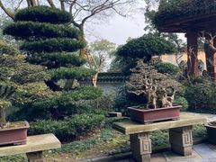-南山植物园