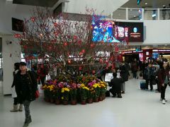 android_upload_pic-澳门外港客运码头(轮渡站)