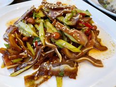 凉拌猪耳-新海利(北岭店)