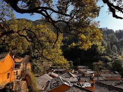 -杨家堂村