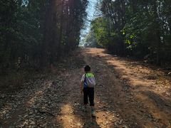 -青龙山国家森林公园