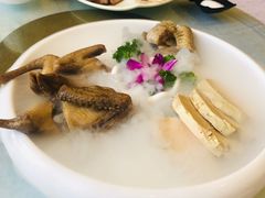 -岭南海晏楼(滨江东总店)