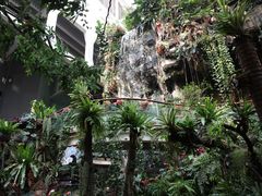 -正佳雨林生态植物园