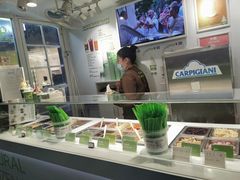 -Salud撒露欧洲冻酸奶(蓝色港湾店)