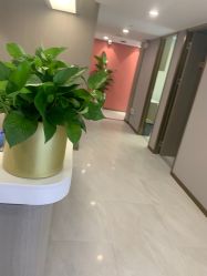 -云南吴氏嘉美医疗美容医院