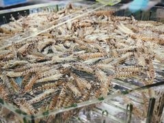 -盒马鲜生(宝地店)