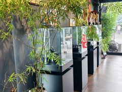 -中环花鸟鱼虫市场