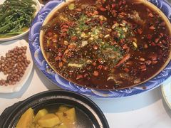 -新概念来凤鱼(璧山店)