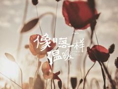 -普天和酒楼(天津之眼店)
