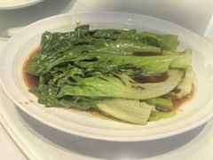 -怀德酒楼·粤菜·海鲜·茶点(宝安国际机场店)